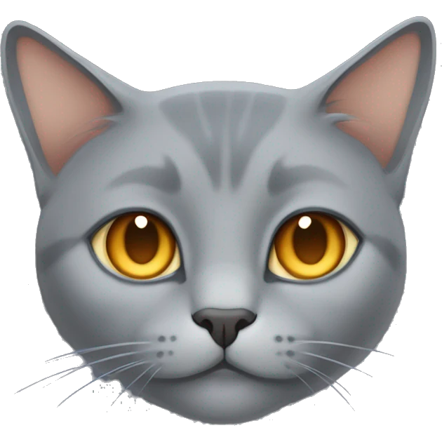 Grey cat breed blue Brit. He has orange eyes and small, dark grey lines on his tail. The cat is fat. The cat is sleeping emoji