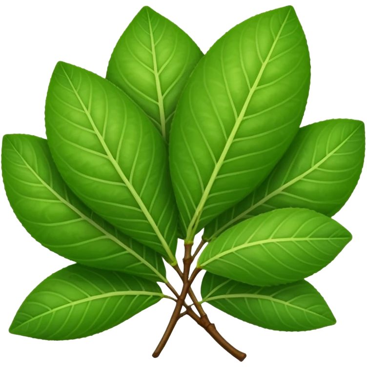 Guava leaves from the guava plant emoji