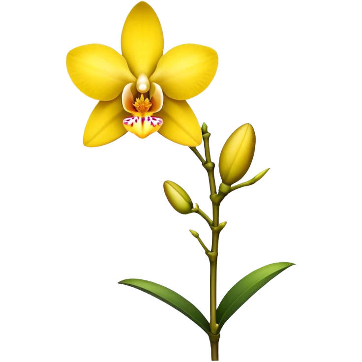 single yellow Dendrobium Orchid flower, stem emoji