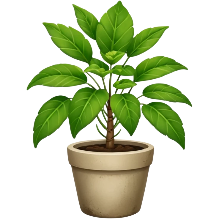 Potted Sidewalk Plant emoji
