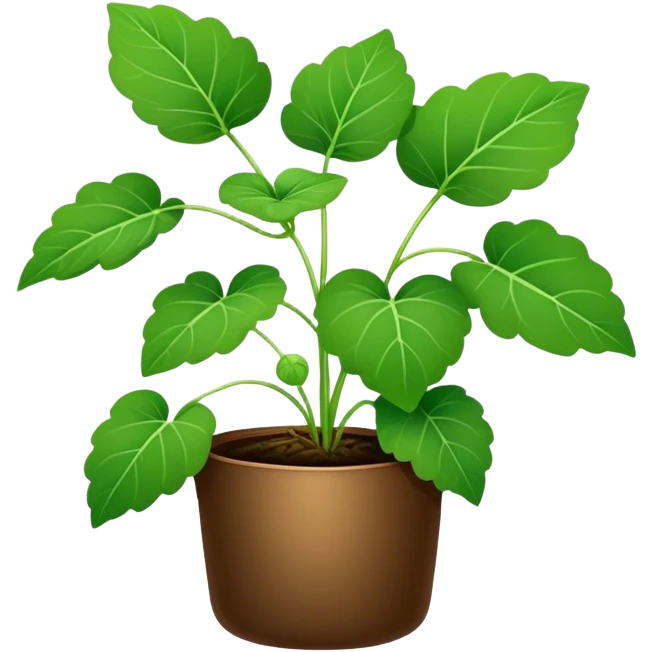 Gotu Kola tea plant  emoji