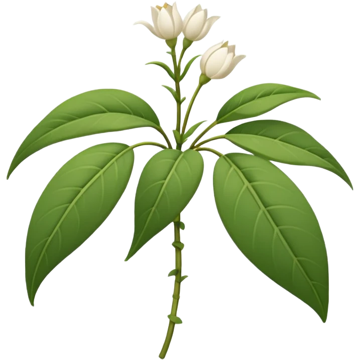 wilted jasmine emoji