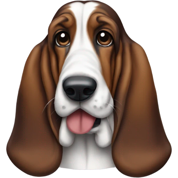 Basset hound wearing Texans jersey  emoji