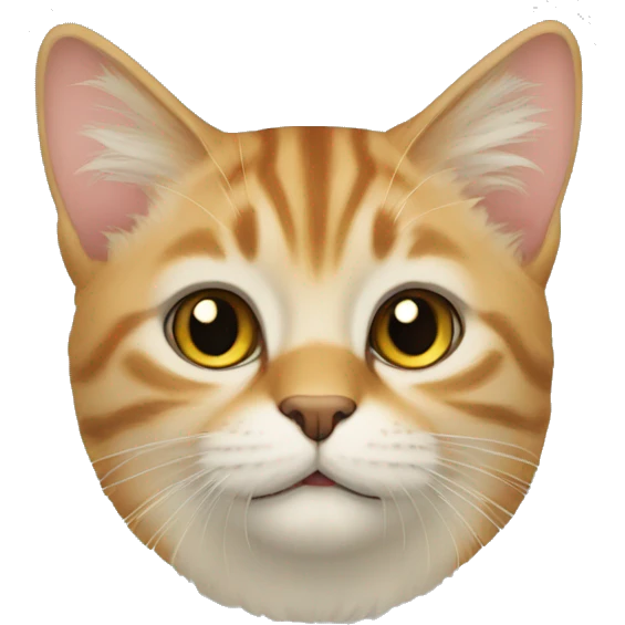 Katze lehrerin emoji