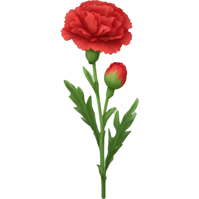 red Carnation flower emoji
