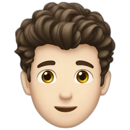 Shawn mendes emoji