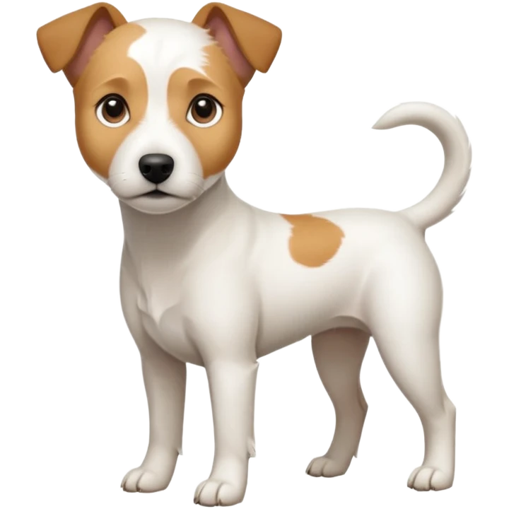 a full body slightly chubby white parson russell terrier looking dog the size of a kelpie with light brown long ears and a light brown patch on one eye and a large snout. the rest of the dog is completely white emoji