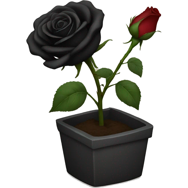Black rose emoji