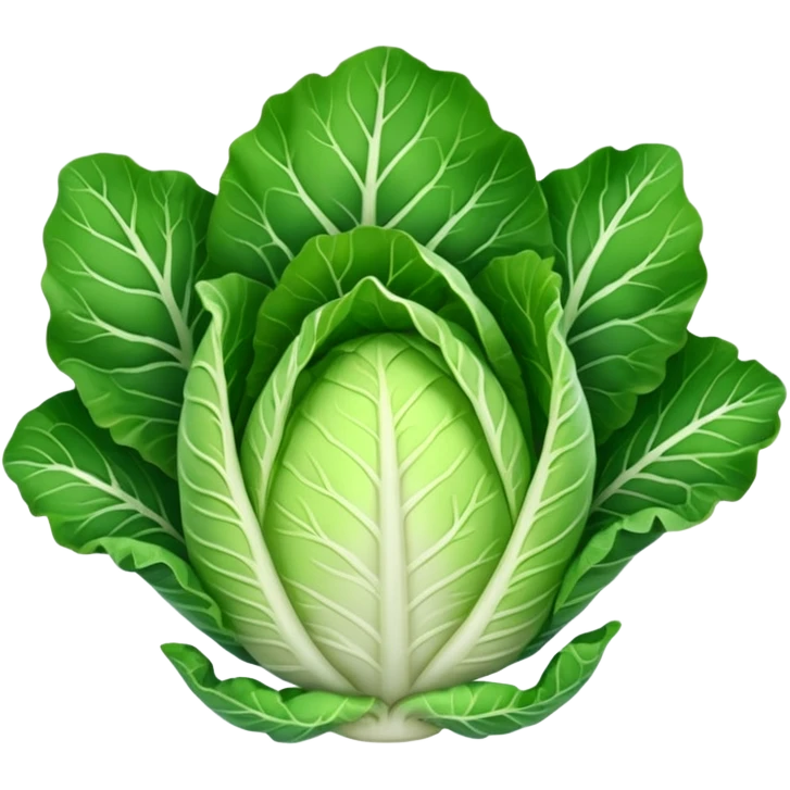 chinese cabbage emoji