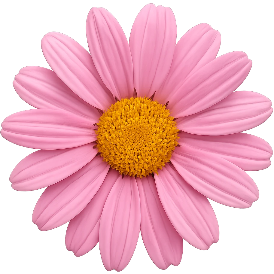 pink daisy emoji