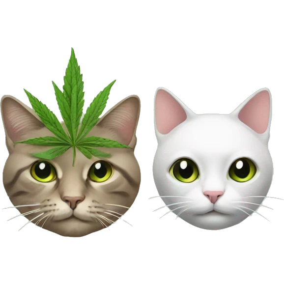 Cat and weed emoji