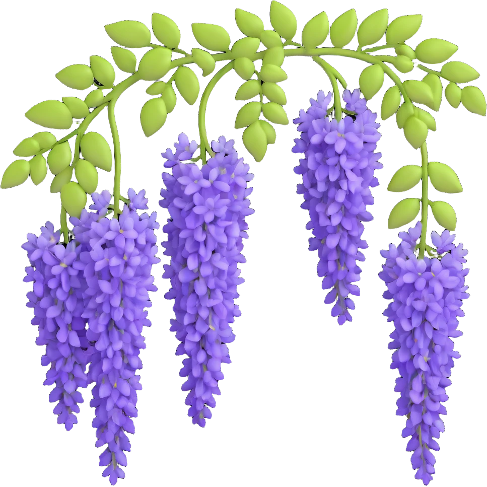 Realistic hanging wisteria racemes with detailed grape-like clusters of lavender flowers cascading downward, accompanied by light green compound leaves emoji