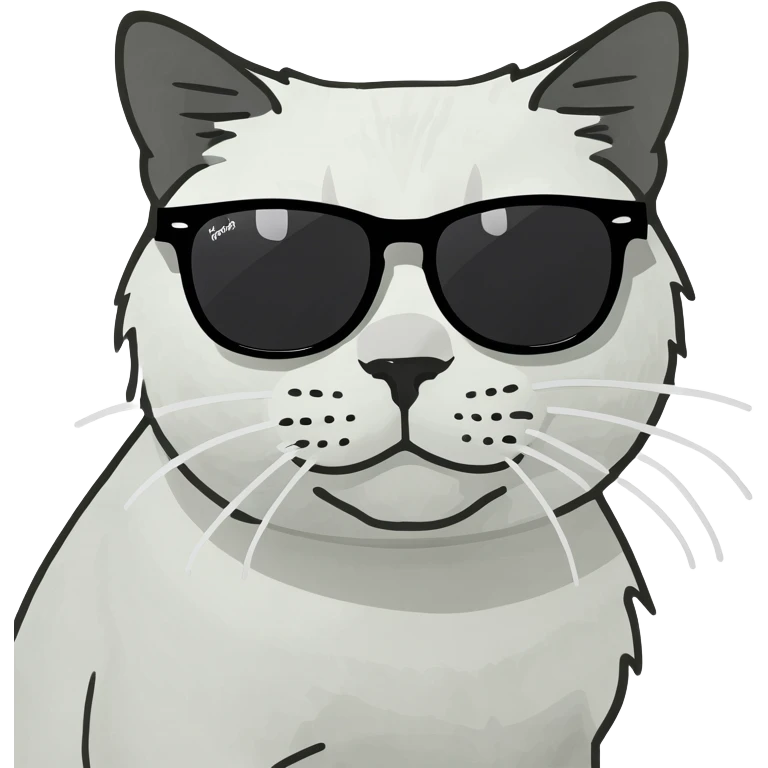 Cat with sunglasses emoji