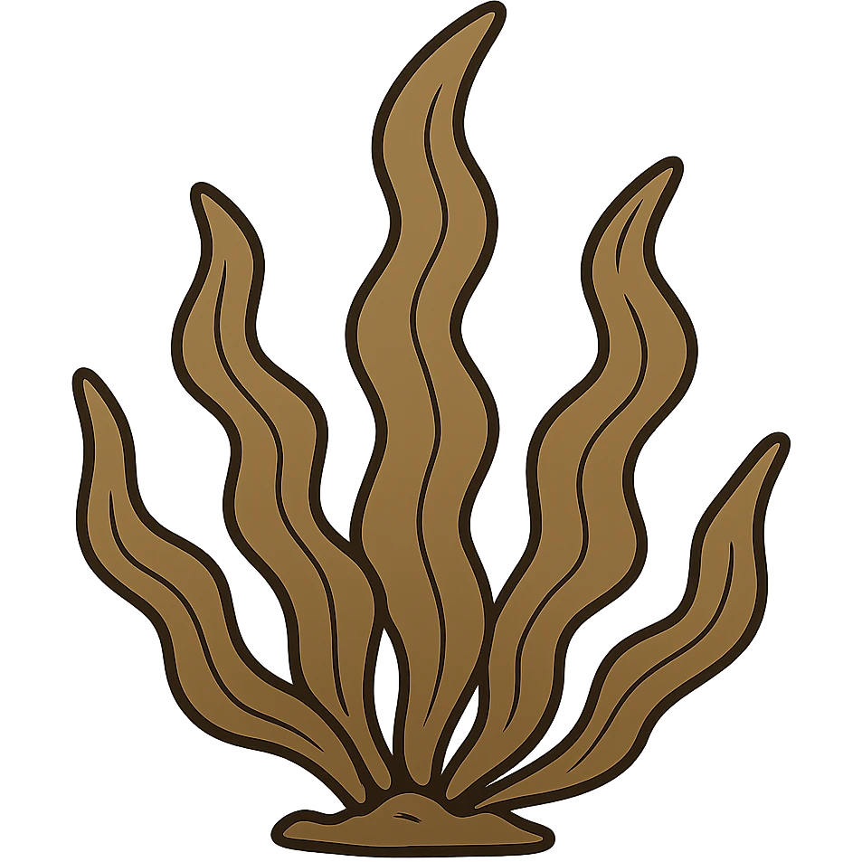 flat toon style brown seaweed emoji