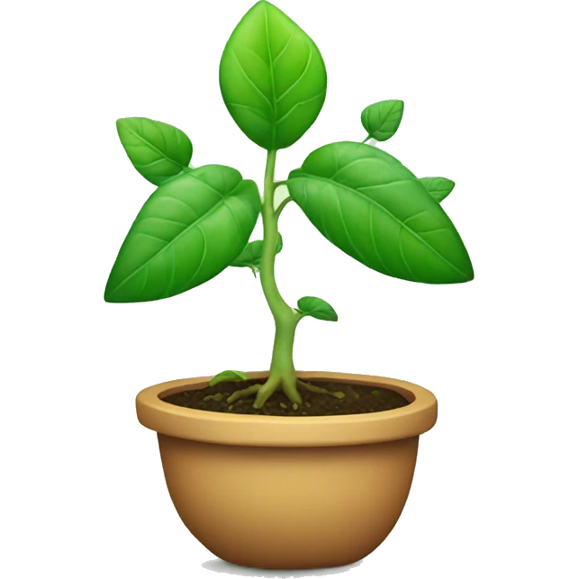 a plant with all of the chakras on it in order emoji