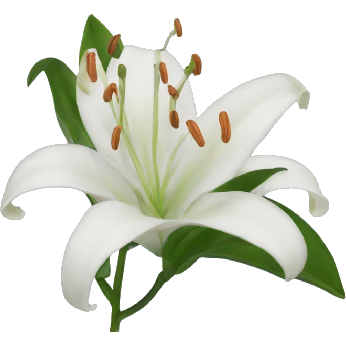 Lily emoji