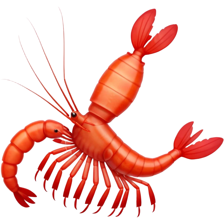 Coral banded shrimp emoji