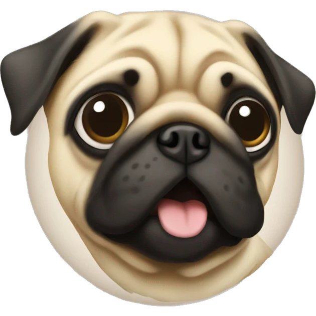 coin face of a pug on it emoji