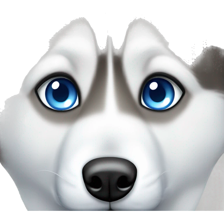 siberian husky with blue eyes peeking emoji