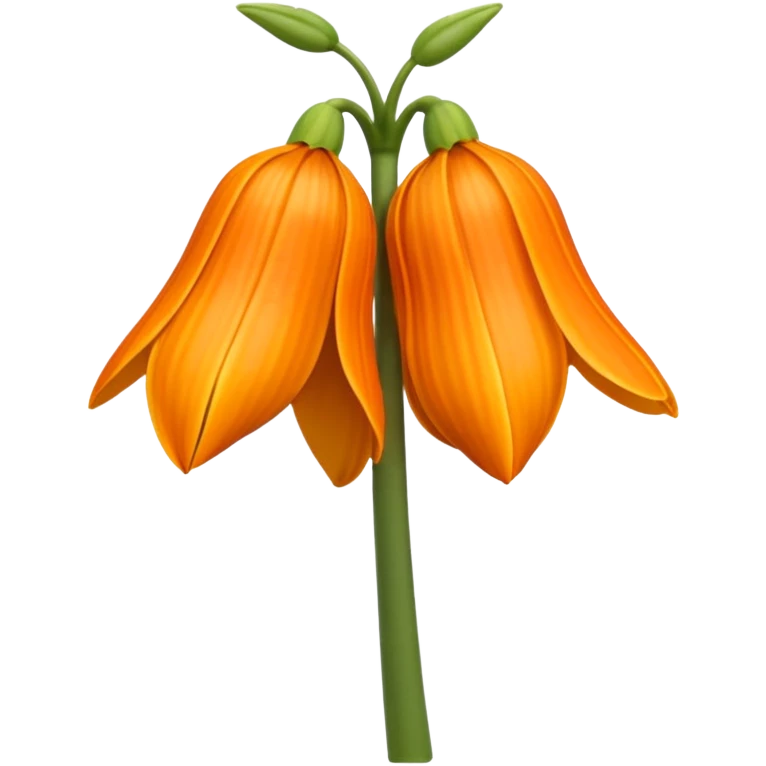 	fritillaria imperialis  emoji