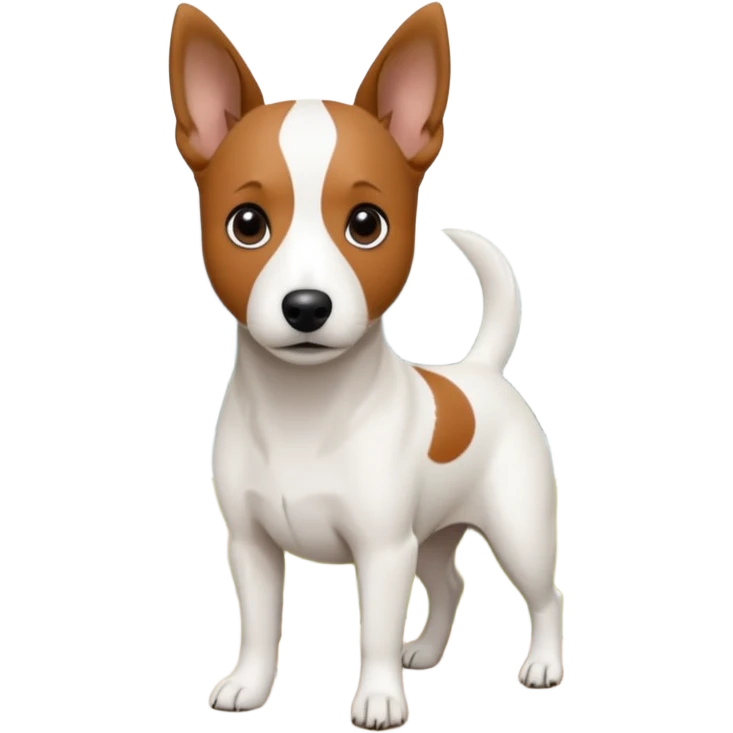 a fully white jack russell the size of a kelpie with a half white face emoji
