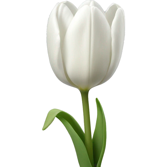 white tulips  emoji