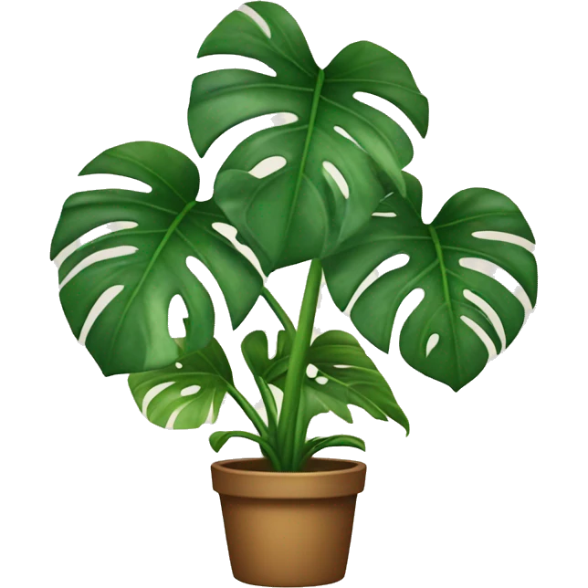 Monstera plant emoji