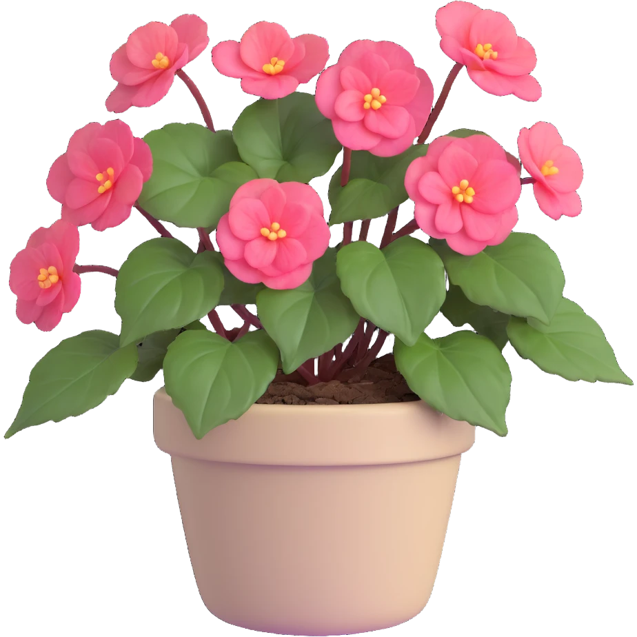 Begonia Rex with greenish-purple spiral center leaves in a beige pot emoji