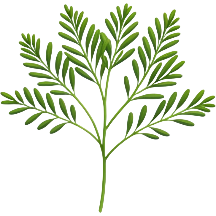 a sprig of dill emoji