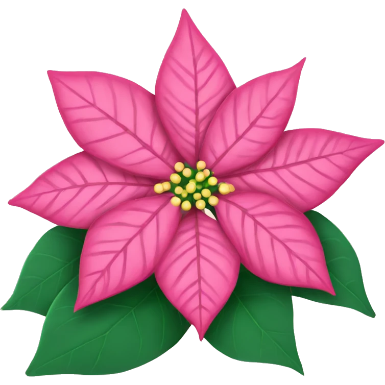 Pink Christmas poinsettia  emoji