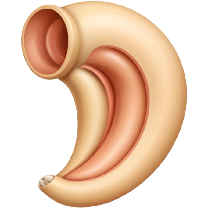 the female genital organ emoji
