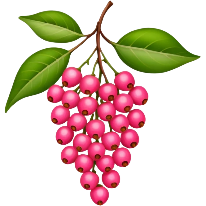 bright pink pepper corn scent emoji