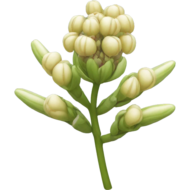 milkweed flower emoji