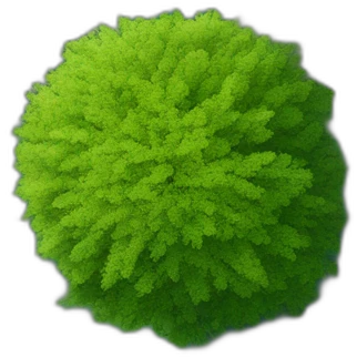 Tree as seen from the sky, looked down from the top, simplified and photorrealistic emoji