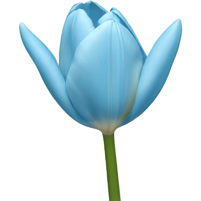 Light blue tulipa  emoji