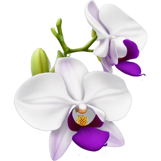 orchid emoji