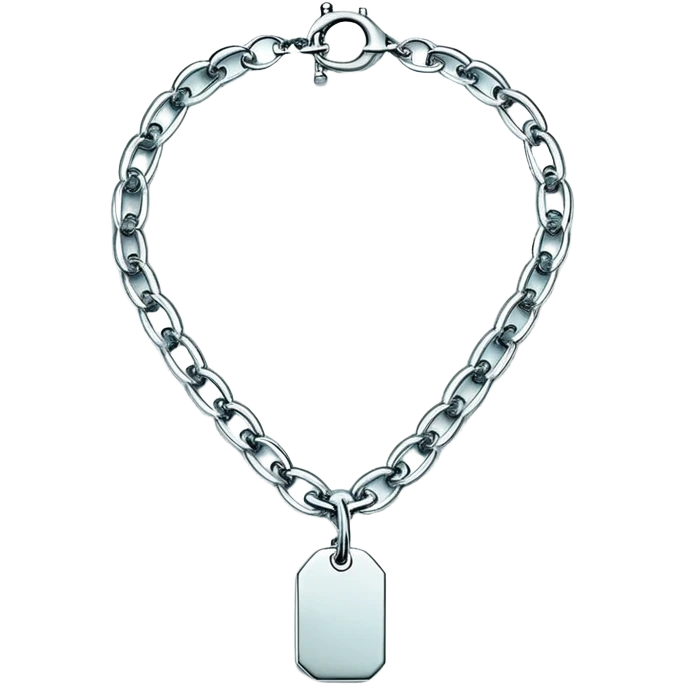 Tiffany big chain silver tag choker necklace “return to Tiffany” emoji