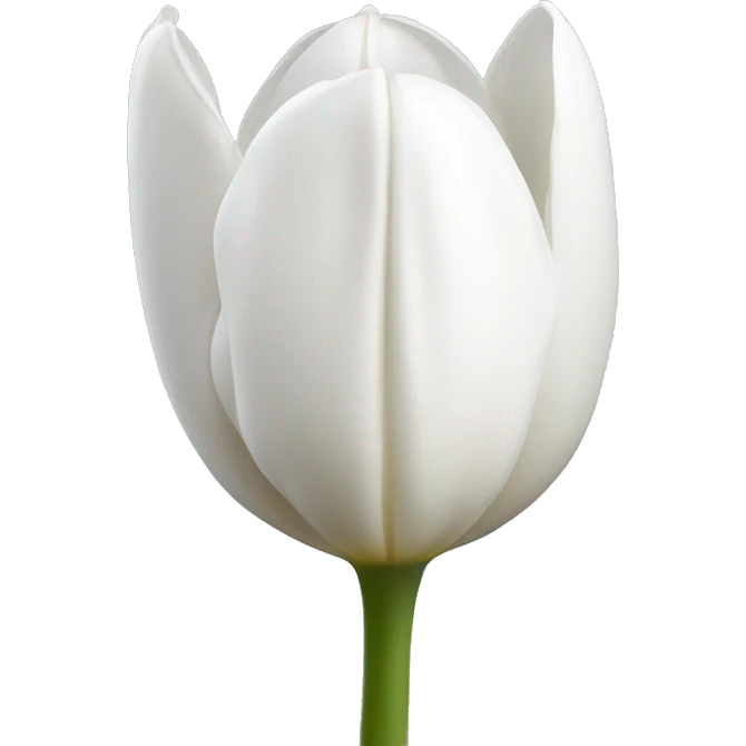 White tulip emoji