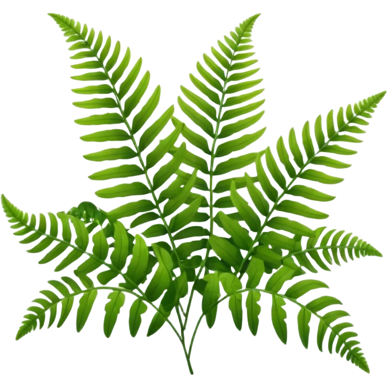 lush green fern fronds, natural plant emoji