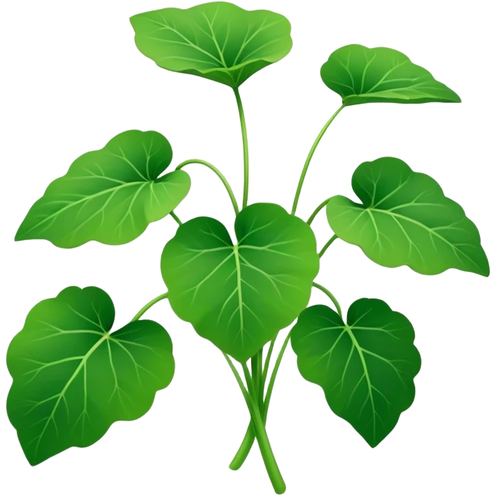 Gotu Kola plant  emoji