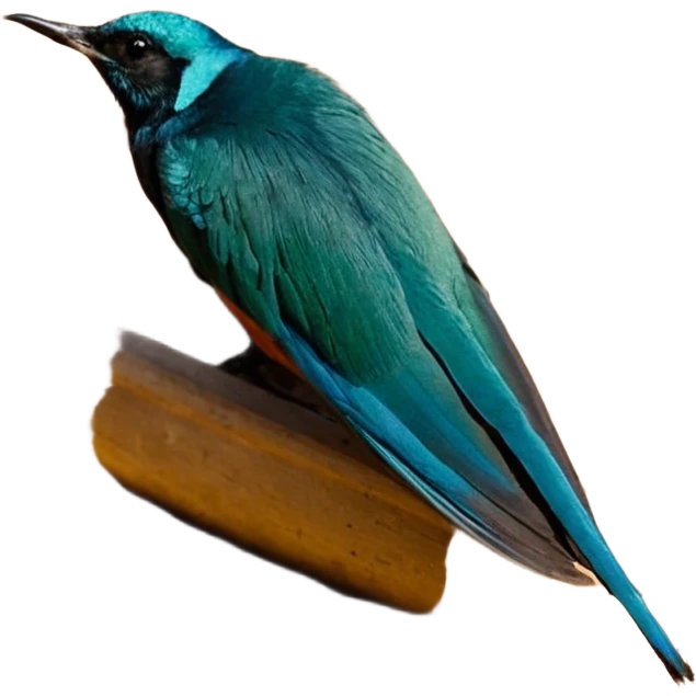 ایموجی بال فرشته سفید با بال شیطان emoji