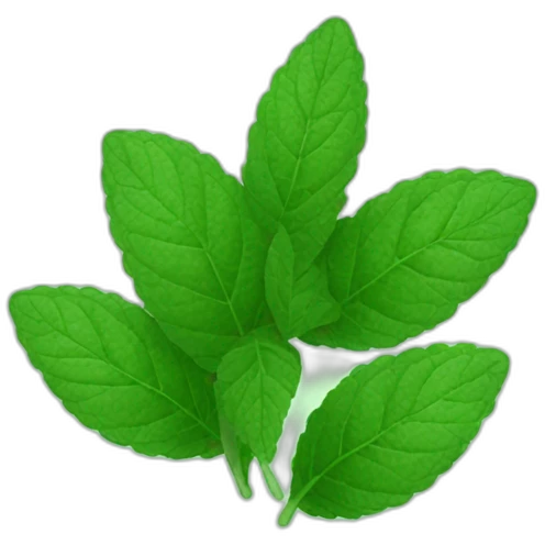 peppermint leaves emoji