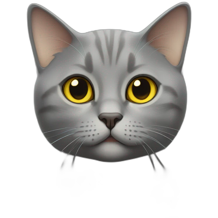 british short hair cat with yellow eyes thumbsup emoji