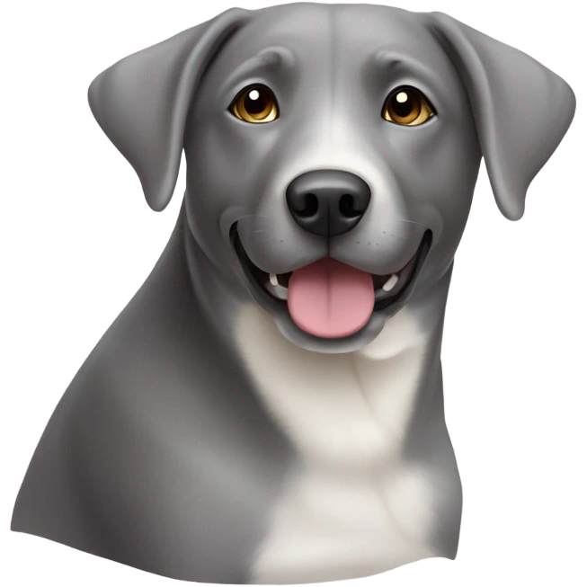 Grey and white lab mix dog emoji