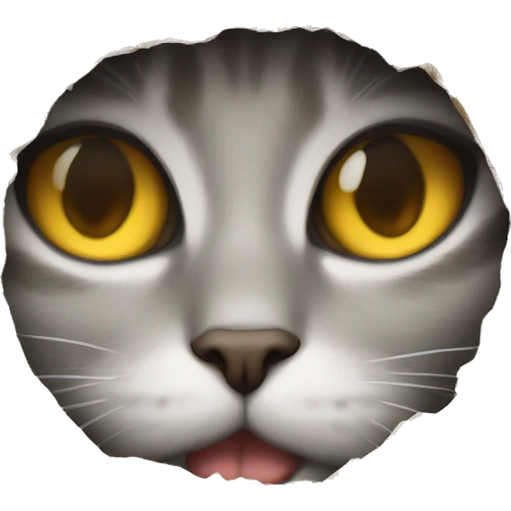 Peeking Eye cat emoji