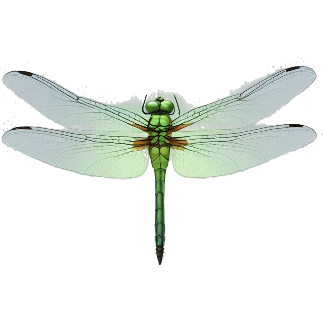 Dragonfly on h ead emoji