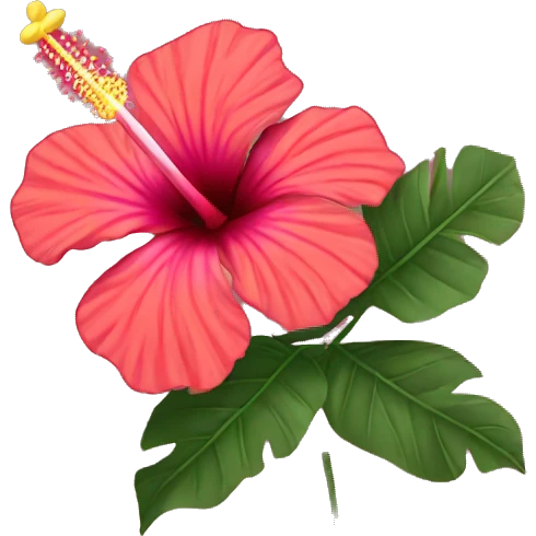 Hibiscus  emoji