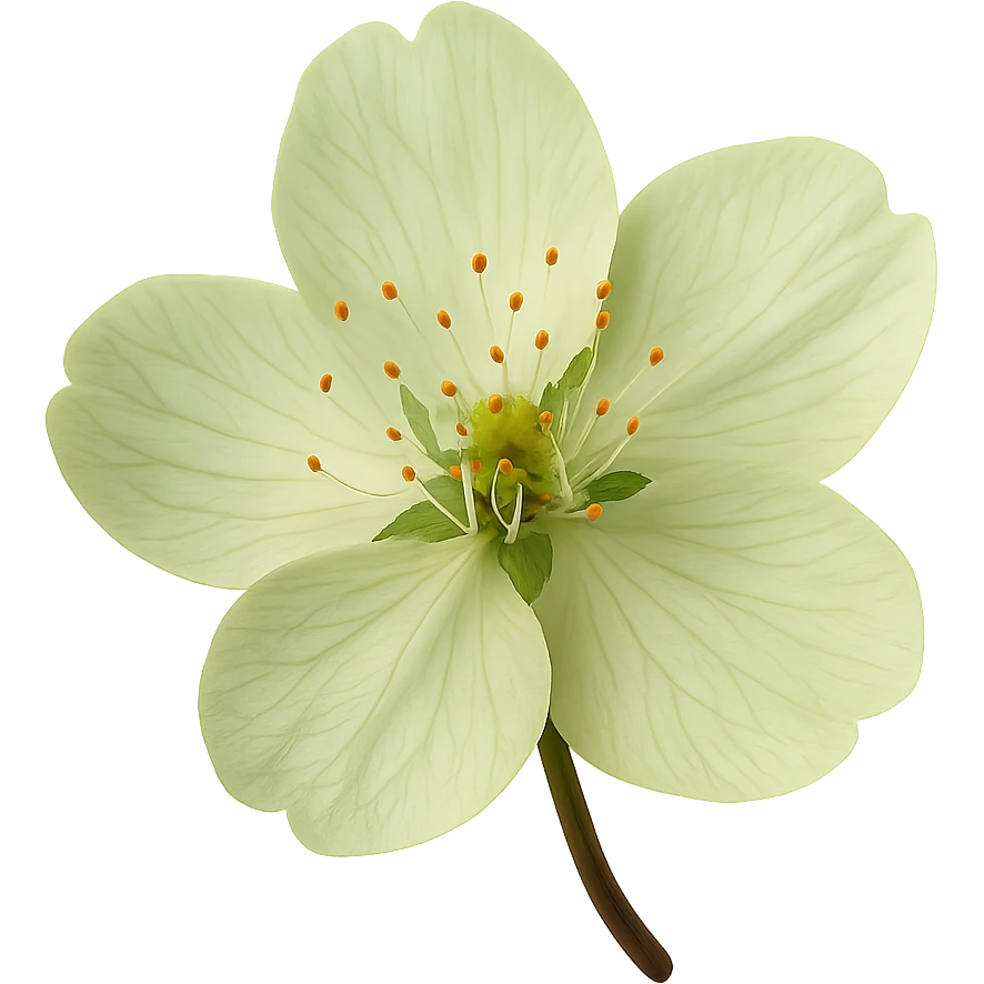 show  one green cherry blossom, remove background emoji