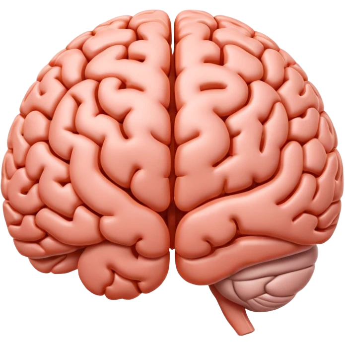"Realistic 3D human brain emoji, detailed neural folds, soft reflections, glossy texture, subtle shadows, rounded friendly emoji shape, high resolution, transparent background" emoji