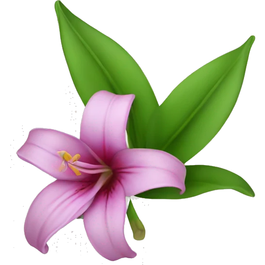 A lilie flower  emoji